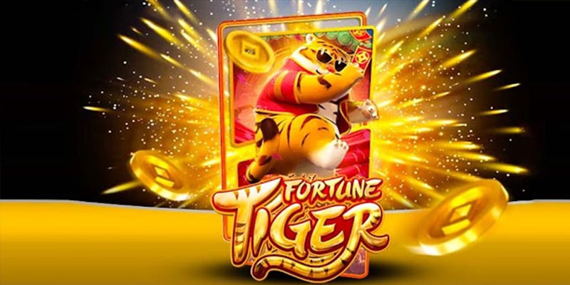 Quem é o Fortune Tiger t111.Com